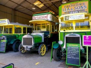 Three cream and green vintage buses