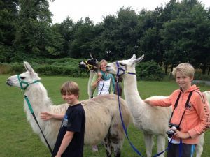 Llamas
