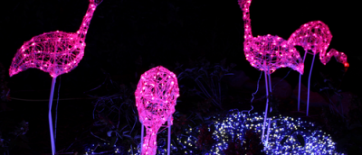 Three flamingo outlines covered in pink lights with a black background